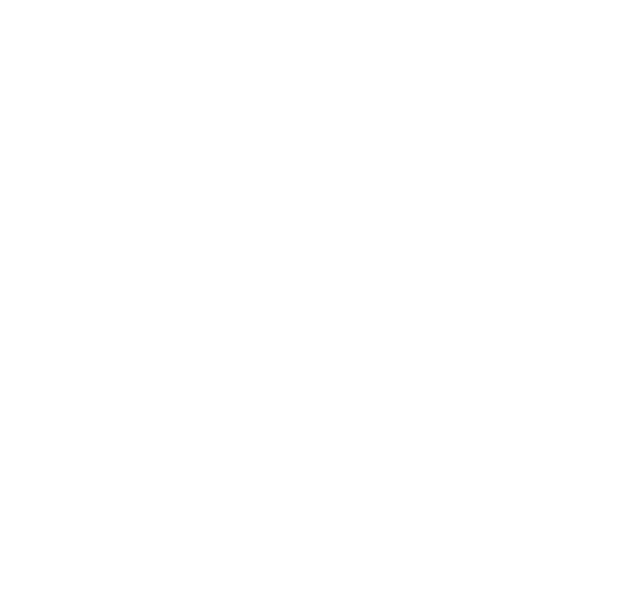 Sentra-Smart Logo